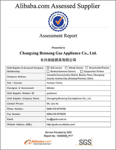 Alibaba.com Assessed Supplier