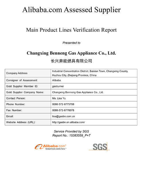 Main Product Lines Verification Report