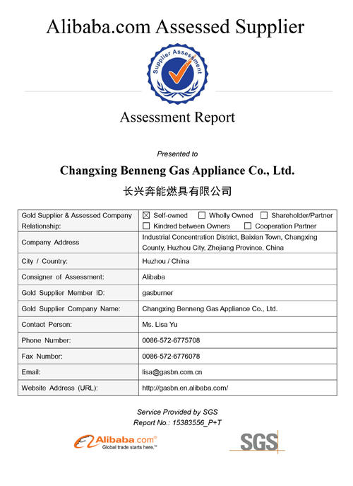 Supplier Assessment Report